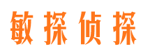 成安私家侦探公司